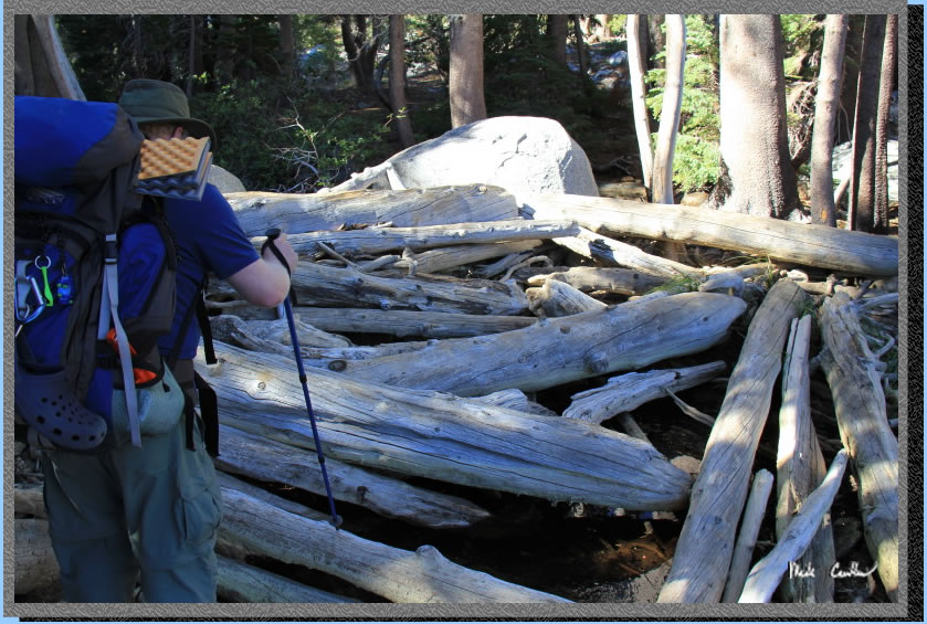 Log Dam at Stony Ridge Lake