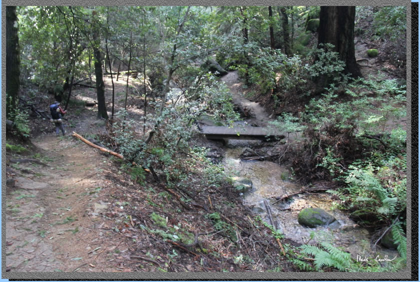 bridge over creek