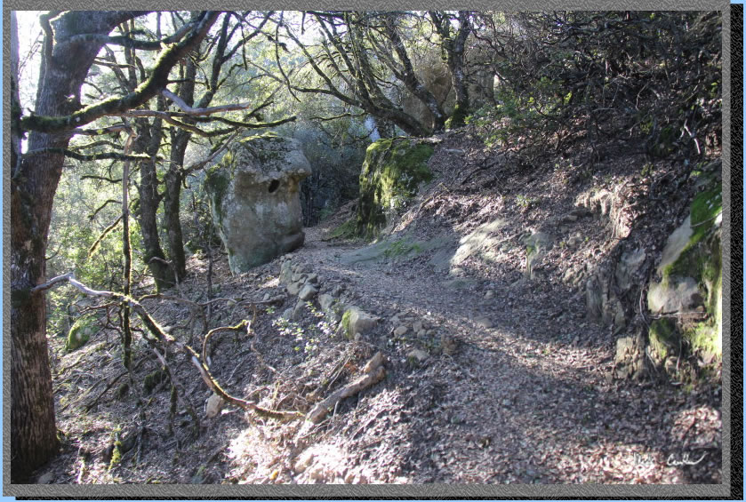 Monkey Head Rock