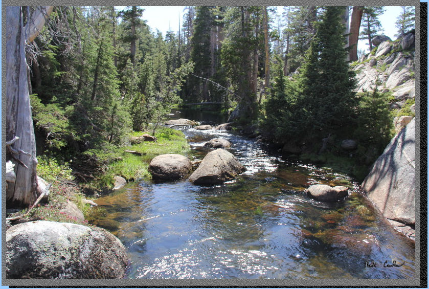 Buck Meadow Creek