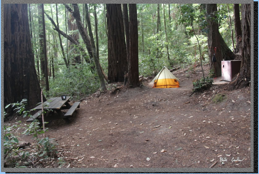 glowing tent at campsite